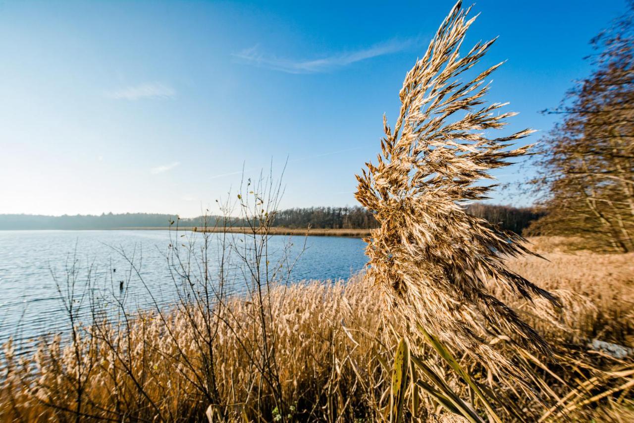 5 Sterne Ferienhaus Direkt Am See Mit Sauna-Kamin-Garten Краков-ам-Зе Екстер'єр фото